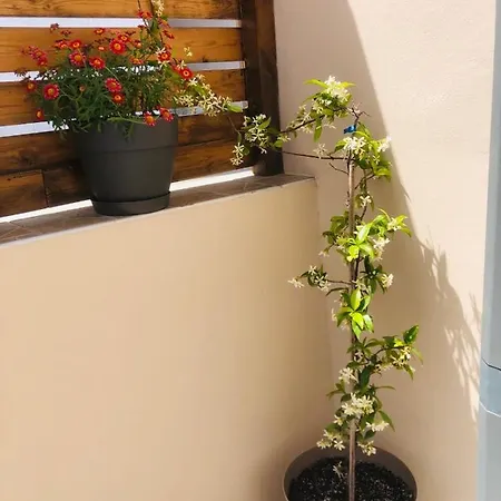 Angelos Sofita House Apartment